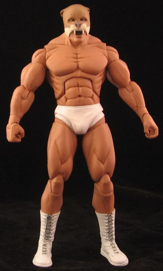 Illustration for article titled A Winner is These Custom NES Pro Wrestling Figures